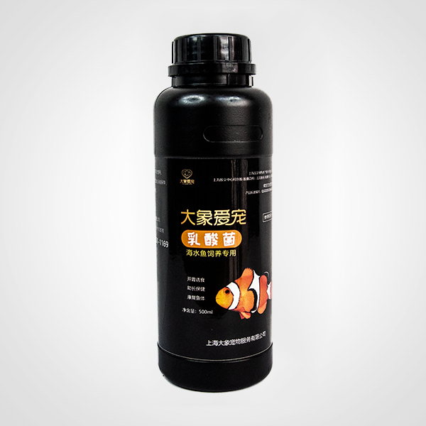 海水魚-乳酸菌（500ml）