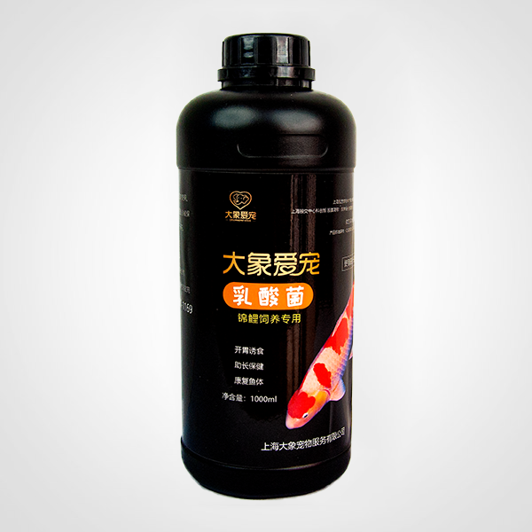 錦鯉-乳酸菌（1000ml）