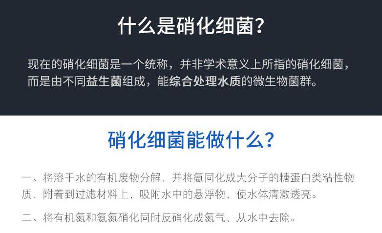 預防和改善觀賞魚細菌性病癥