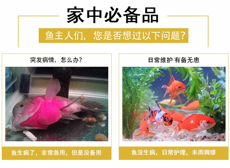 預防和改善觀賞魚細菌性病癥