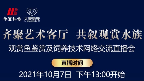 【10.7直播預告】齊聚藝術客廳 共敘觀賞水族-網絡交流直播會